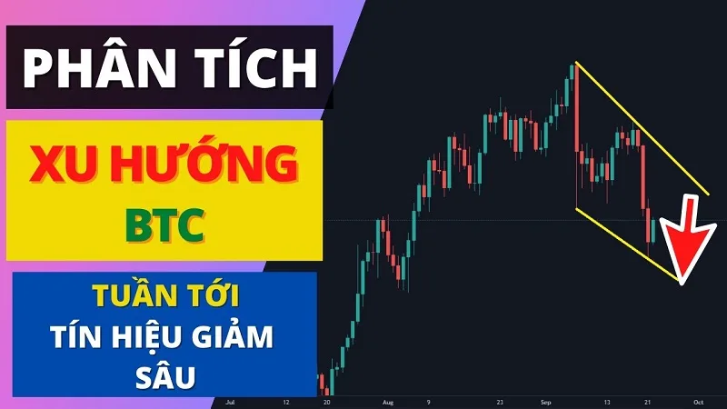 Phan-tich-xu-huong-thi-truong-top-3-cau-hoi-thuong-gap-nhat